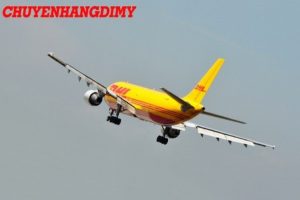 Vận chuyển hàng quốc tế DHL tại Đồng Nai Giá Rẻ