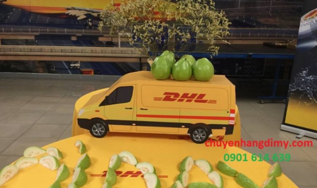 Chuyển phát nhanh DHL tại Quận Cẩm Lệ, Đà Nẵng với giá rẻ